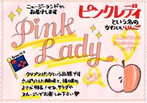 ショーカード「ピンクレディ」